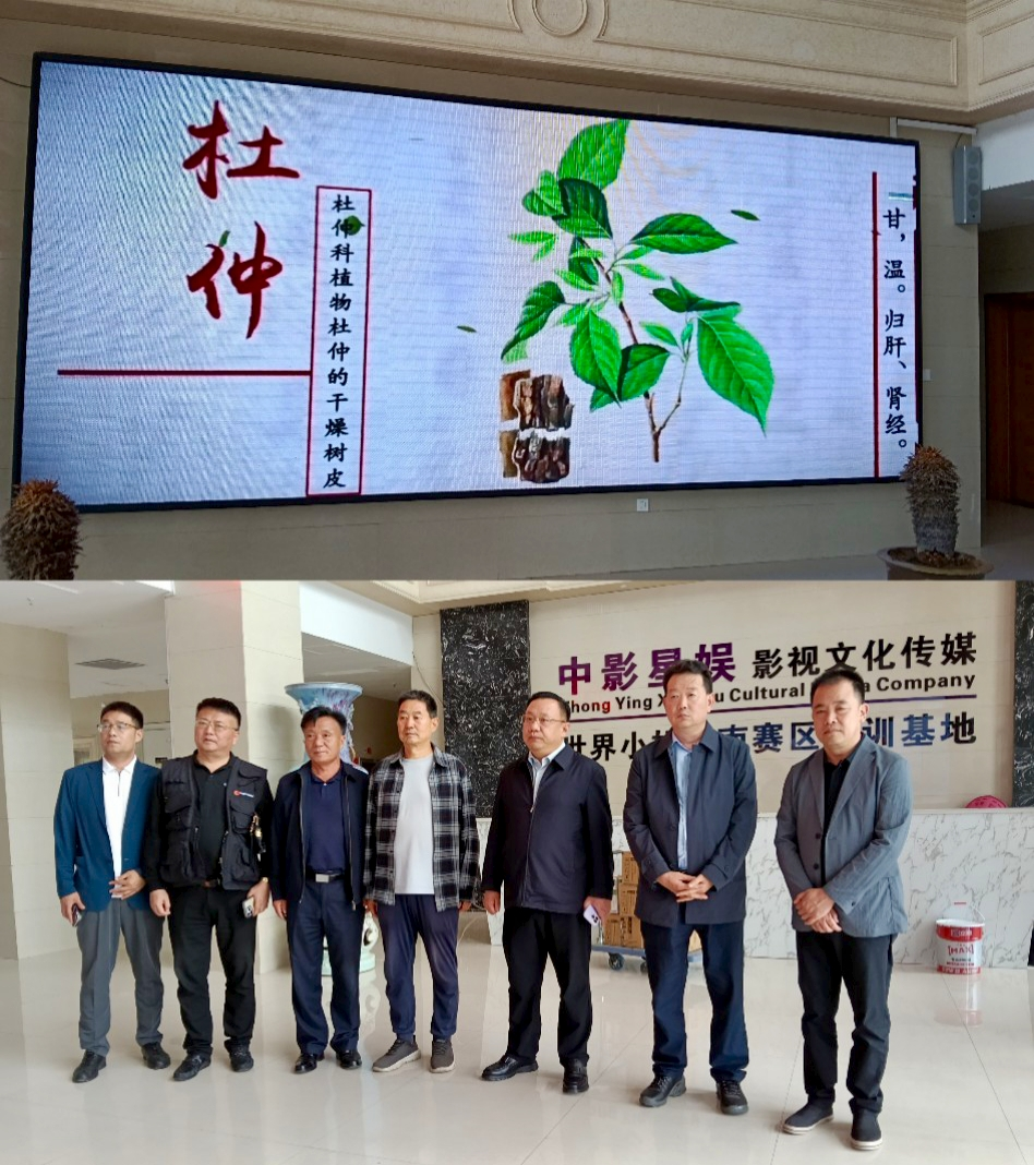 图片10.png